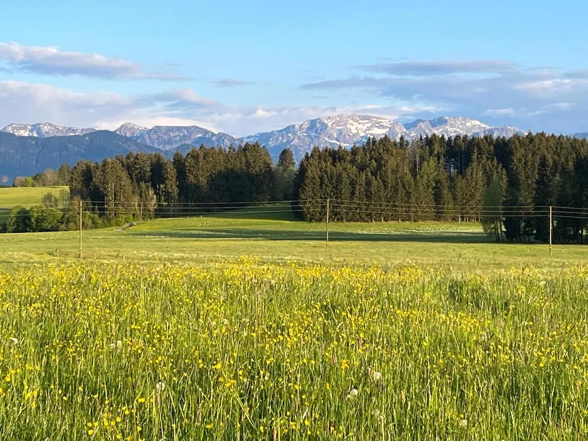 Allgaeu Pension 